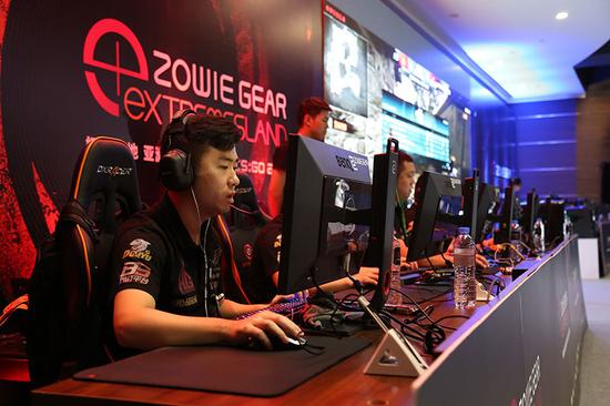 权威数据回 权威数据回